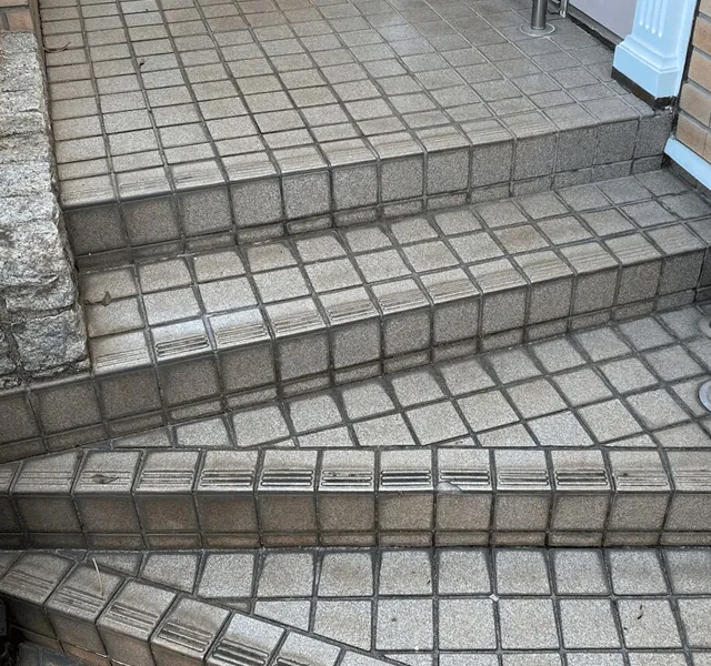 Уборка входной группы в БЦ «Сенатор» на Петроградской стороне — До уборки